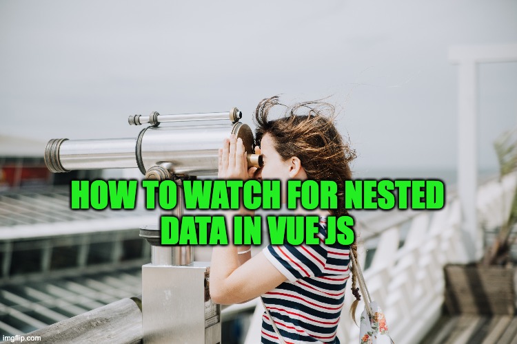 How to watch for nested data in Vue Js